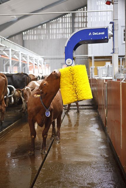 Delivery fleet and transport